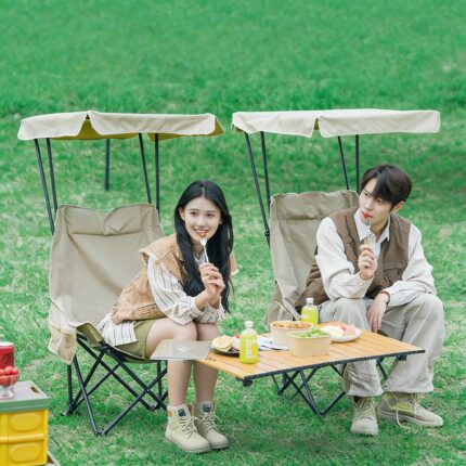 Sunshade folding chair